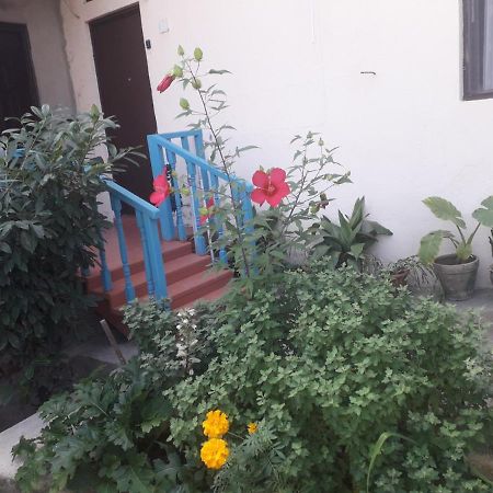 Guesthouse Zeinabi Tbilisi ภายนอก รูปภาพ